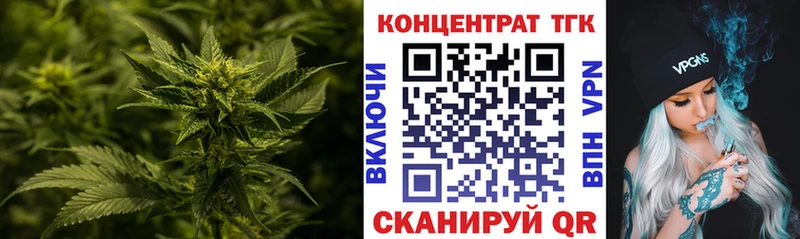 Купить где  Курчатов  ТГК Wax 