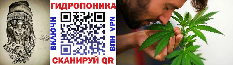 Купить  Курчатов  Бошки Шишки White Widow 